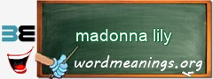 WordMeaning blackboard for madonna lily